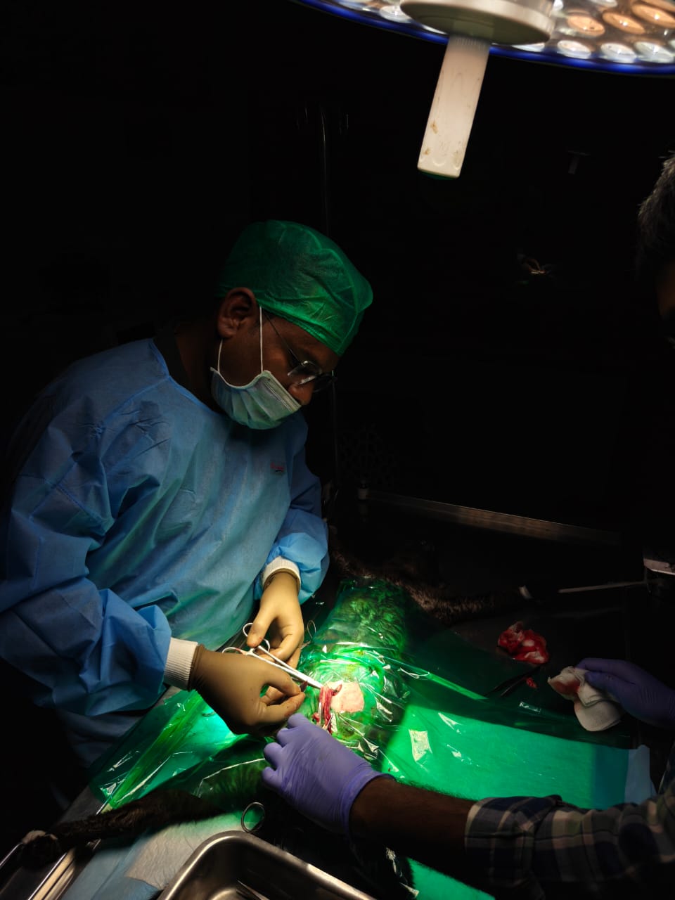 Sarvadnya Pet Care Unit veterinary clinic, Pune
